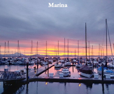 Marina